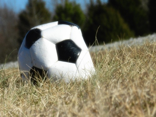 Live football betting markets