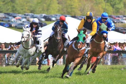Horse racing betting for real money: Sports betting for real money: horse racing